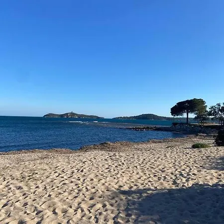 Proche De La De Vardiola